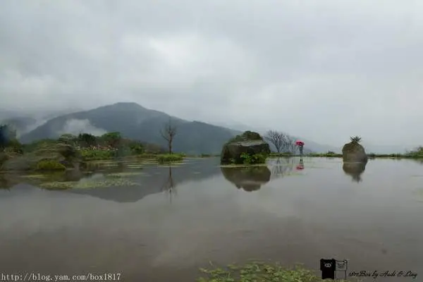 【新北。金山】進入桃花源。八煙聚落。八煙溫泉步道