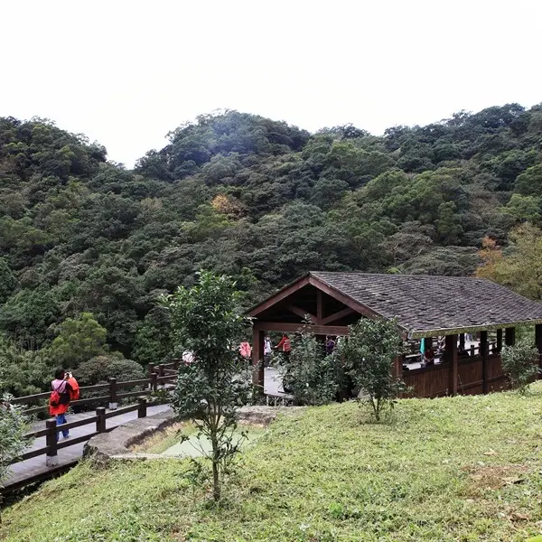 草湳湖觀景平台
