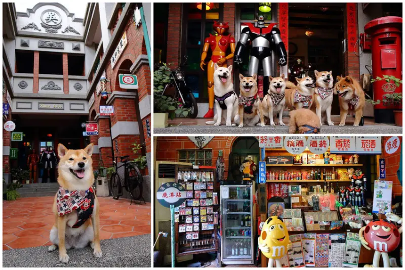 【食。彰化】童年往事莊園民宿〜彰化主題餐廳。懷舊復古餐廳帶我們一同「穿越」回到50年代！(寵物友善民宿+餐廳)