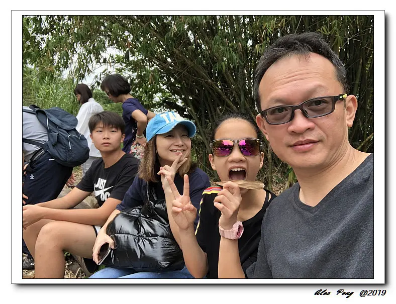 台東縣-延平鄉-鸞山森林博物館