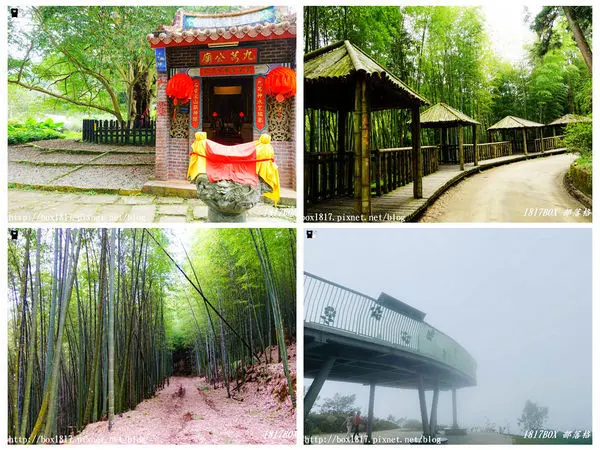 【雲林。古坑】五元兩角(Five Yuan and Two Jiao)。雲嶺之丘。九芎神木(九芎公)。雲林草嶺景點