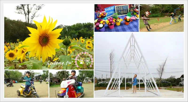 【青林農場 桃園親子景點】乾燥花主題休閒農場 沙坑/草皮/電動車 還有季節向日葵花海! - 虎虎龍龍*珍太妃