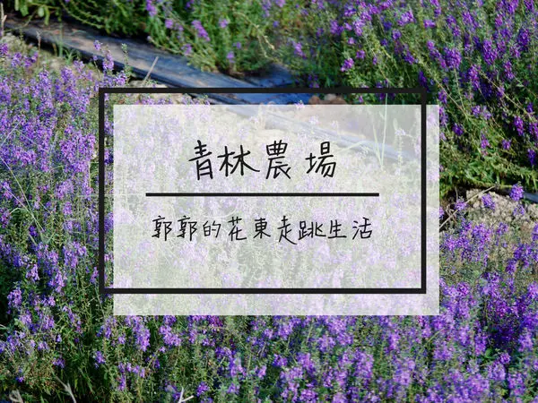 【桃園觀音】青林農場~放假很適合來溜小孩DIY體驗的休閒農場