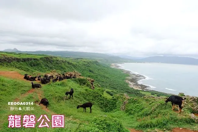 【屏東|墾丁景點】龍磐公園 ♥ 遼闊大草原.一望無際美麗海景.遇見一群賞海景的可愛羊兒