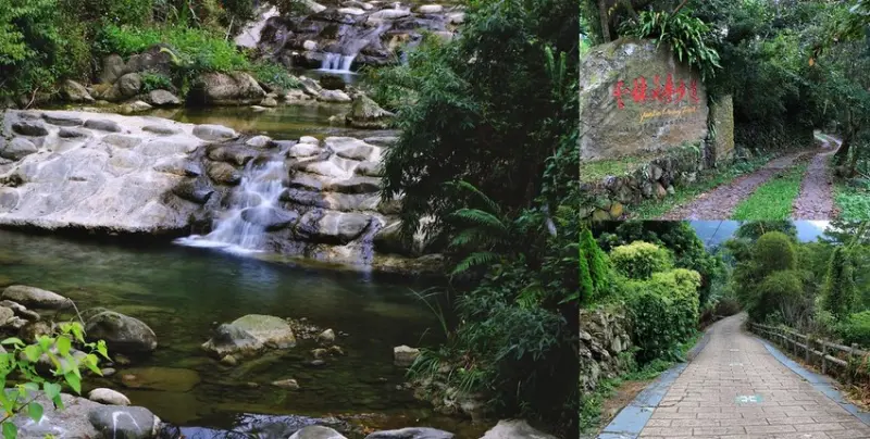 【雲林‧古坑】文學步道‧華山最悠靜的自然生態步道，體驗文學氣息的自然美景