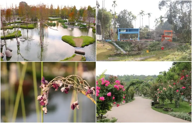 古坑一日遊。華山文學步道、DIY烘豆體驗、桂竹林休閒餐廳、蘿莎玫瑰山莊、古坑好農 苦茶油麵線、澄霖沉香味道森林館