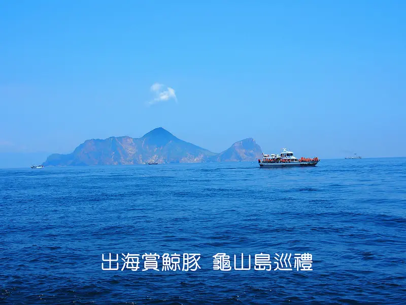 宜蘭烏石港一日遊 出海賞鯨豚 龜山島巡禮 到漁港就是要吃海鮮