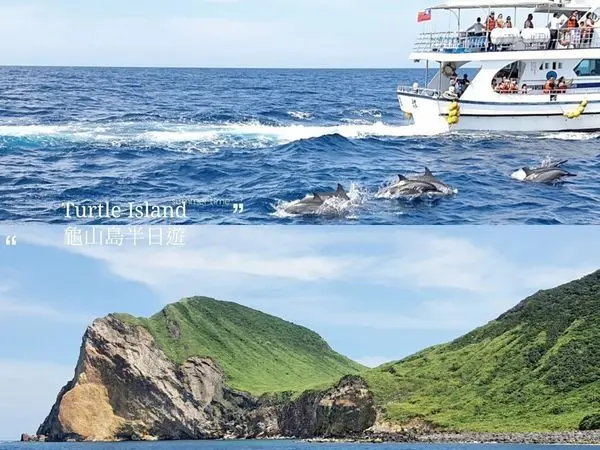 【宜蘭頭城▸景點 龜山島半日遊】季節限定！賞鯨＋環島＋登島一次滿足～
