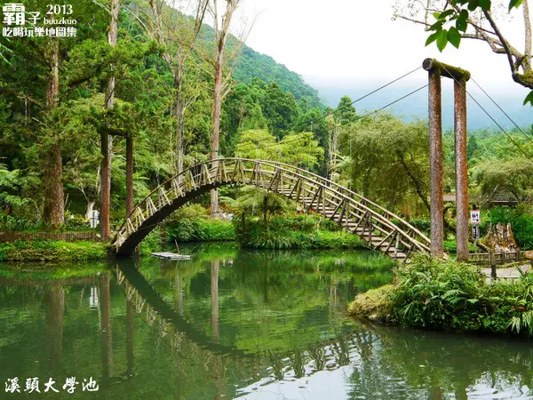 溪頭自然教育園區，空中走廊穿梭林木之中！                
      