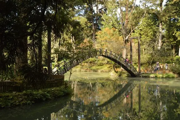 溪頭自然教育園區(上)~~漫遊園區招牌人氣景觀「大學池」