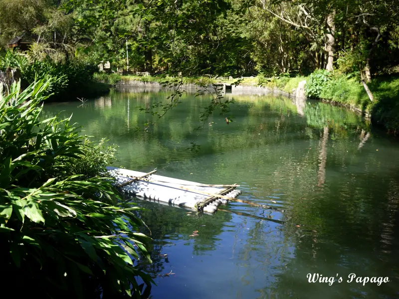 來享受森林芬多精吧!溪頭自然教育園區