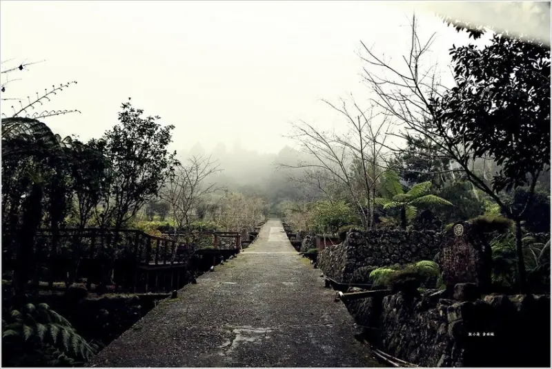 【南投‧鹿谷】溪頭自然教育園區/溪頭森林遊樂區‧遼闊的森林，走趟溪頭享受芬多精的洗澧