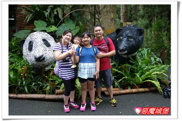 【南投二日遊。Day2】鹿谷。溪頭自然教育園區+溪阿餐廳 - 吸收滿滿的芬多精 !