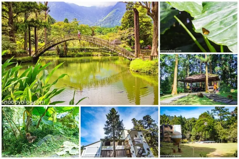 溪頭自然教育園區～溪頭門票資訊、導覽地圖、建議路線，豐富的溪頭生態導覽