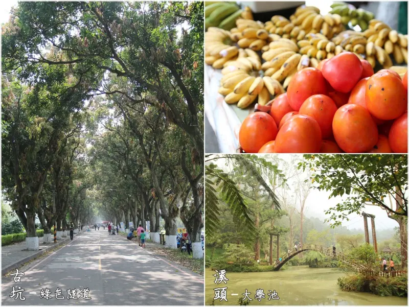 [遊記] [南投縣 - 鹿谷鄉][溪頭] 第一天：一路向南之吃吃喝喝睡睡走走活力老人團