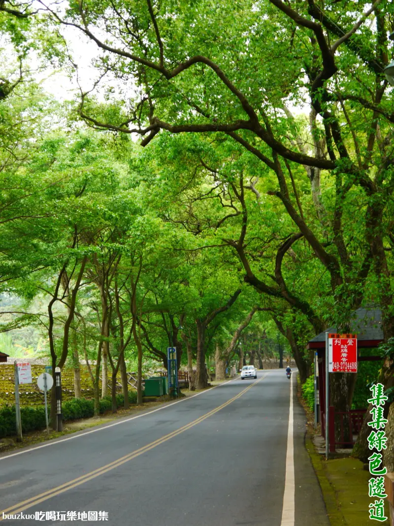 穿過綠色隧道去集集