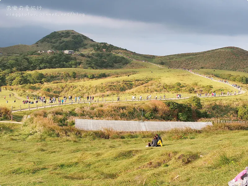 【台北】陽明山擎天崗秋賞芒草 置身銀白世界