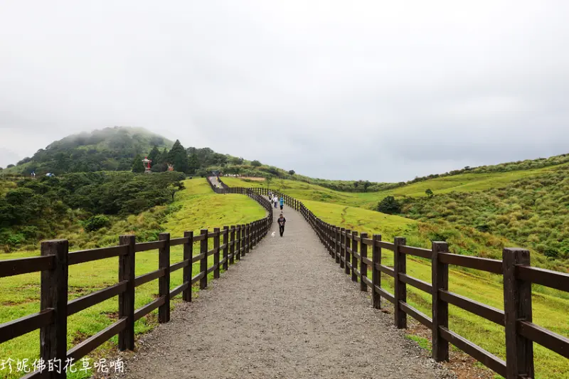 【台北-士林區】擎天崗大草原中央步道散步看牛吃草