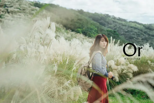 [台北|景點] 上陽明山去擎天岡找不到牛，倒是秋季來臨欣賞了整片美麗的芒草，秋天必來 - 陽明山擎天岡