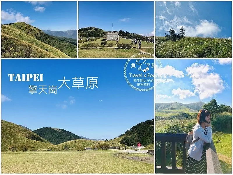 【遊】擎天崗大草原｜親子、情侶、家人，手牽手出遊去～ @ 魚兒 x 牽手明太子的「視」界旅行