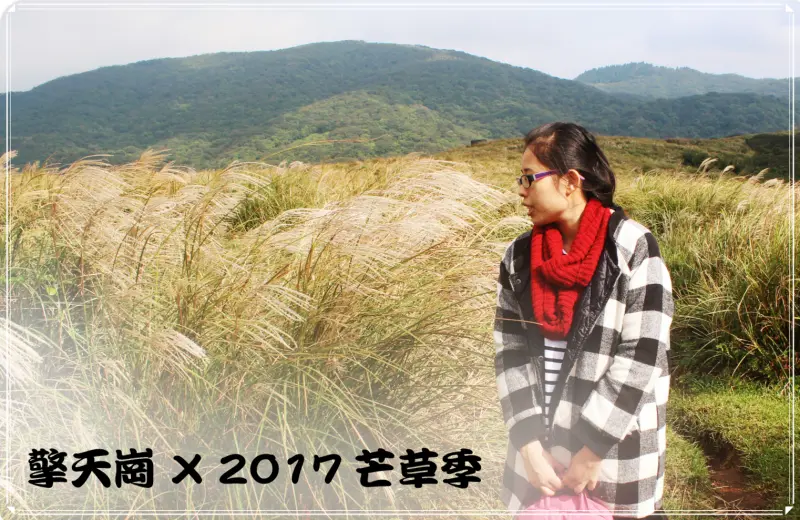 //台北景點//擎天崗。陽明山。竹篙山。2017芒草季。女孩與芒草的浪漫邂逅之旅，讓人充滿驚喜的擎天崗初體驗，感受生活當中不一樣的氣息