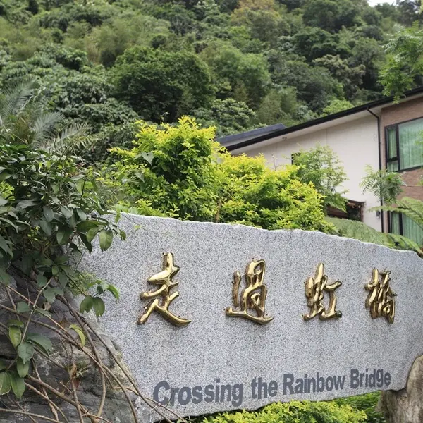 走過虹橋民宿(花蓮縣民宿451號)
