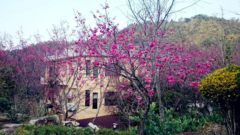 【南投住宿】藏於桃米社區的清淨之地-佳園渡假山莊