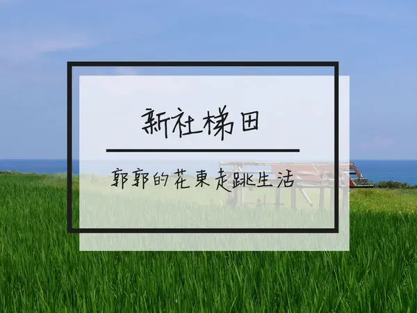 【花蓮遊記】豐濱新社梯田~最靠近太平洋的階梯式稻田美景