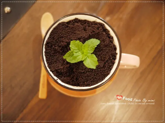 [美食]超熱門的盆栽咖啡 超夯的秘密基地。東區 溫古咖啡 Wengu cafe