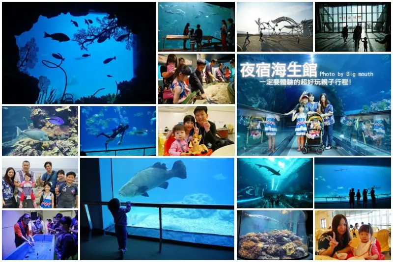 【屏東】夜宿海生館‧ 一定要體驗的超好玩親子行程! 睡在大魚缸及海底隧道旁好療癒~