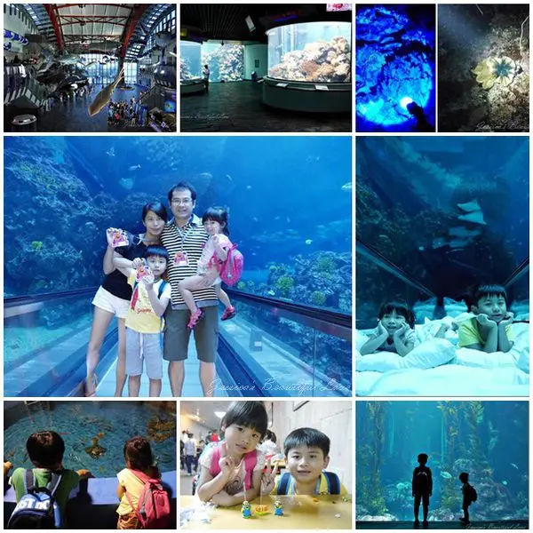 【屏東車城】2015夜宿海生館(海底隧道區)。難忘の與魚共眠初體驗~一泊三食+奇妙の20小時海洋活動行程全記錄