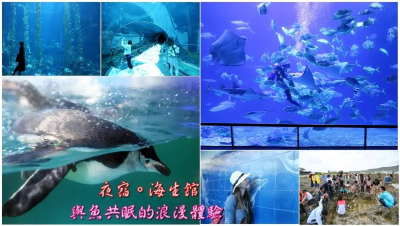 【屏東車城鄉】夜宿海生館！體驗與魚共眠的幸福感，一窺夜晚的神秘海生館！後場參觀好新鮮，潮間帶走訪超趣味~