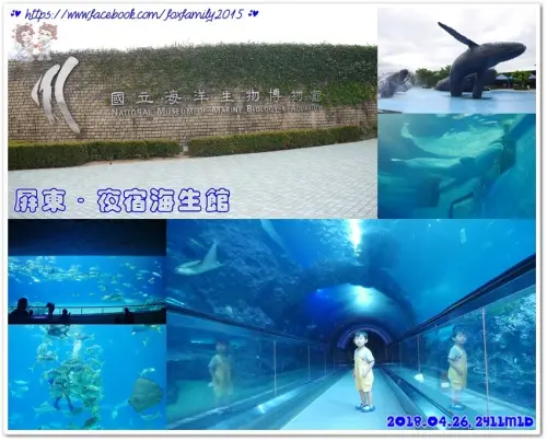 屏東♥♡♥與魚兒共眠　夜宿海生館