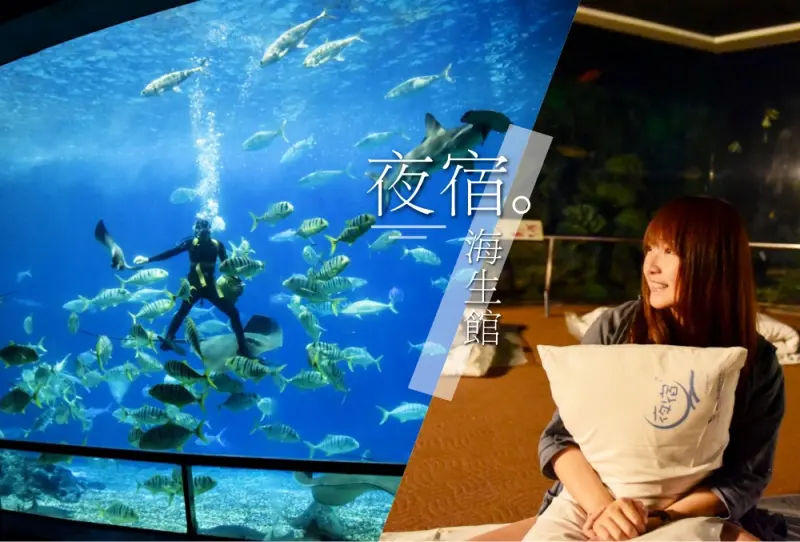 夜宿海生館 | 與魚共眠的室內露營初體驗！親子/情侶墾丁旅行推薦行程 | 黛西優齁齁 DaisyYohoho