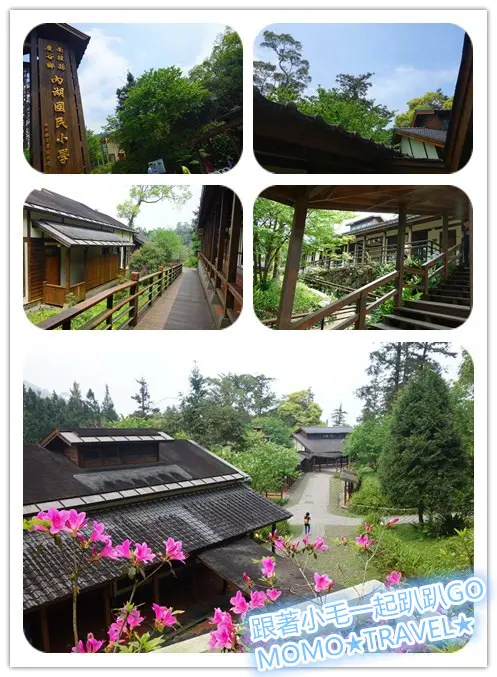 南投旅遊-內湖國民小學 傾聽吧~ 森林丨花語丨鳥嗚聲