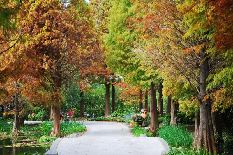 湖畔森林 * 彰化 . 菁芳園休閒農場 ( 田尾公路花園 )