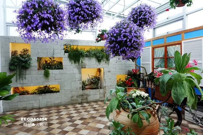 【彰化景點】菁芳園 ♥ 浪漫的落羽松步道及溫室玻璃屋餐廳 一年四季有不同的美景 IG打卡/熱門拍照景點/彰化一日遊/彰化景觀餐廳