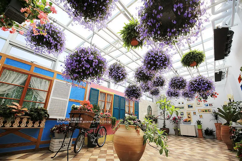 【彰化田尾】菁芳園TenwayGarden-藏身菁芳園中的一球球夢幻紫色海豚花浪漫秘境好好拍.滿園正紅落羽松美景包圍著.IG網美必拍.多了Tenway cafe可喝茶用餐.彰化假日親子約會推薦景點