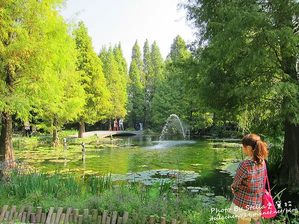 【彰化-田尾】來到生動畫布的實境中＠菁芳園休閒農場 