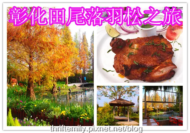 【彰化田尾】:菁芳園庭園餐廳,觀賞落羽松正當令,半自助Buffet$250吃到飽 