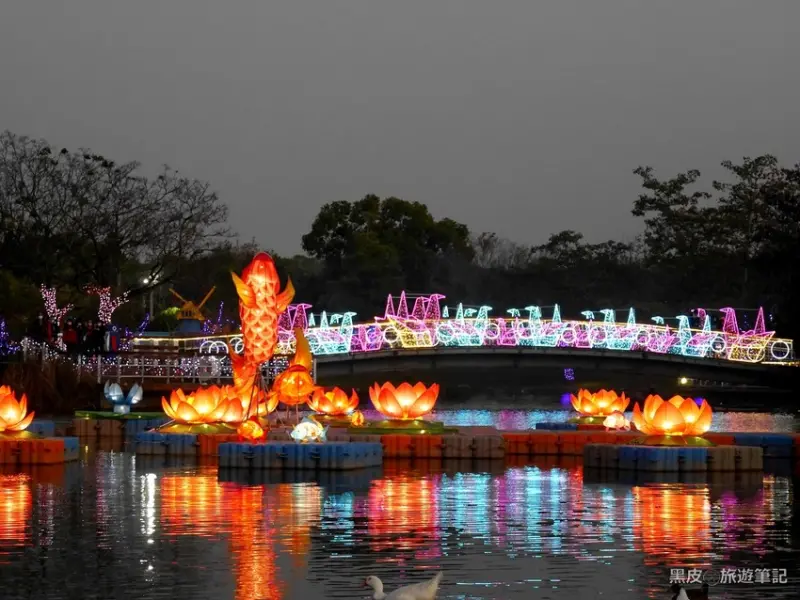 彰化溪州公園。2020彰化賞燈點亮整片花卉，華麗水舞燈璀璨彰化夜晚 - 黑皮的旅遊筆記