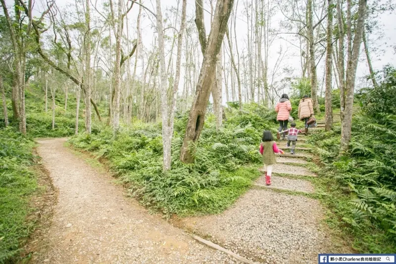 【宜蘭三星】拳頭姆步道／拳頭姆自然步道 - 老少閑宜，健行爬山輕鬆簡單，一小時可走完，適合親子同行的清靜小步道