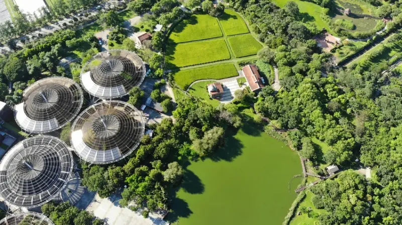 【屏東】六堆客家文化園區|免費景點|深入了解客家文化|兒童的歡樂天堂|欣賞田園好風光