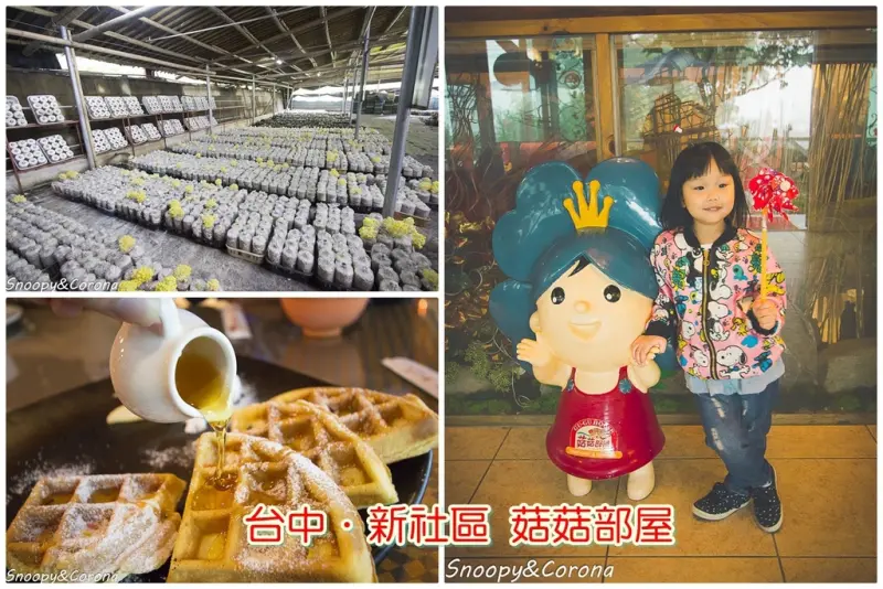 【吃喝．台中】新社菇菇部屋～採菇體驗、享用美食、採買伴手禮，來這裡一次滿足，適合親子同遊！