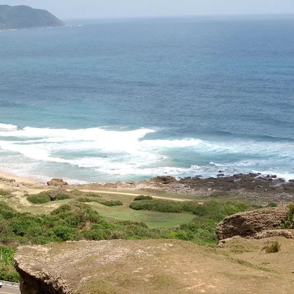 風吹砂牧場草原