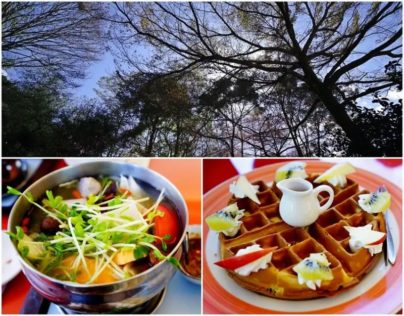 【台中新社】桃李河畔 台中新社景觀餐廳 新社景點推薦 台中景點推薦 一年四季不同花卉盛開 在山林中用餐 文附菜單