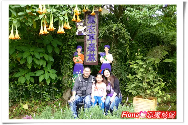 【台中。新社】薰衣草森林