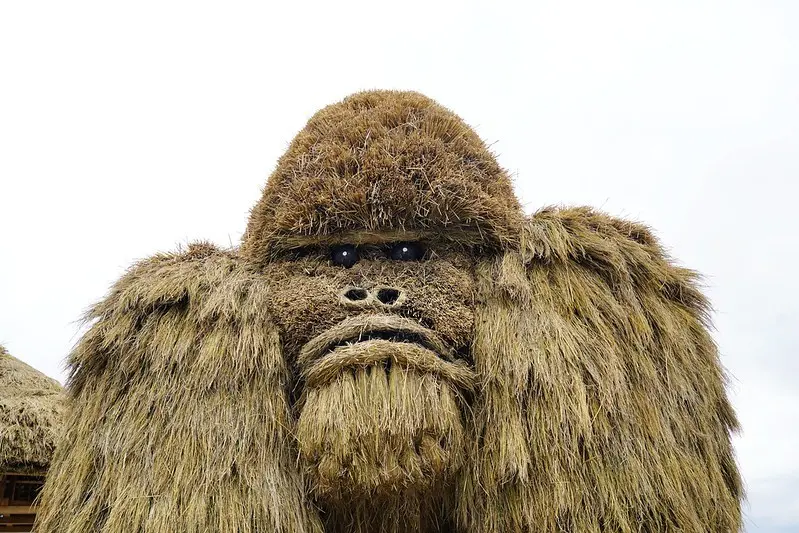 【台灣，花蓮，富里】銀背猩猩出沒，注意！！「2019富麗稻野．動物迷蹤 第一屆稻草藝術季」即日起到109年3月31日止，大家別錯過囉！！