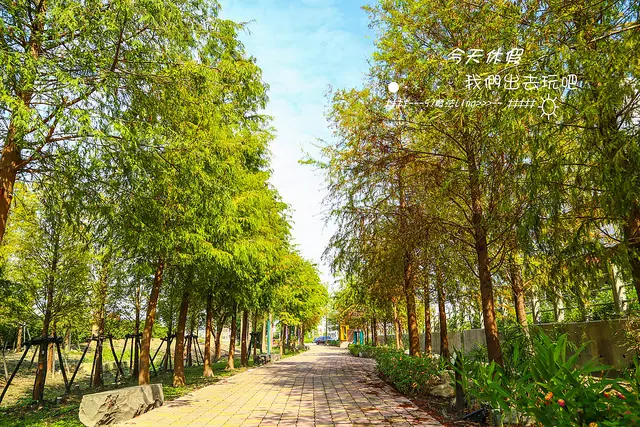 [ 彰化⊙田尾]落雨松步道。賞完落雨松順便買多肉植物