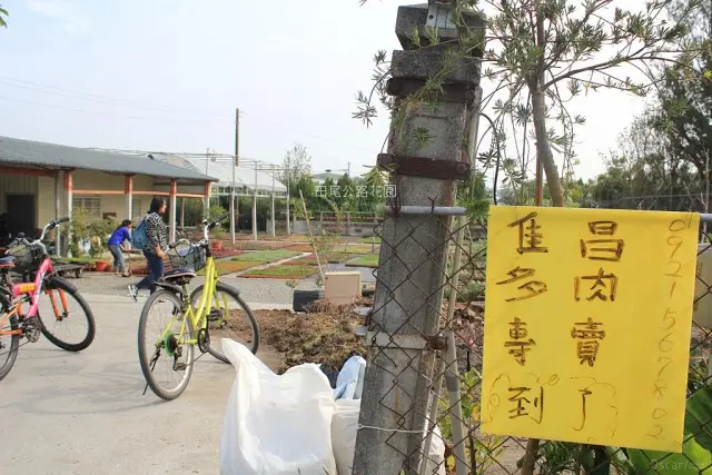 彰化。田尾。尋訪綠意療癒園地 / 田尾公路花園